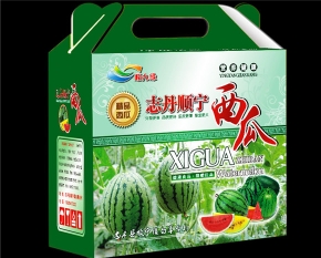 四川西瓜包装箱